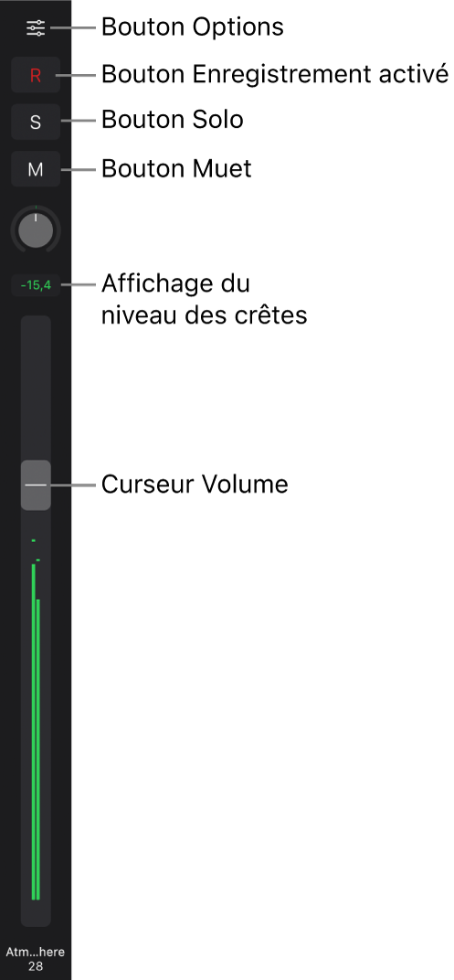 Figure. Curseur affichant le bouton Options, le bouton « Activer l'enregistrement », les boutons Solo et Muet, le potentiomètre Pan/Balance, l’affichage du niveau de crête et le curseur Volume.