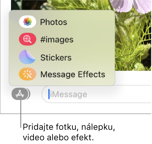 Menu Apky s možnosťami zobrazenia fotiek, nálepiek, GIF obrázkov a efektov správ.