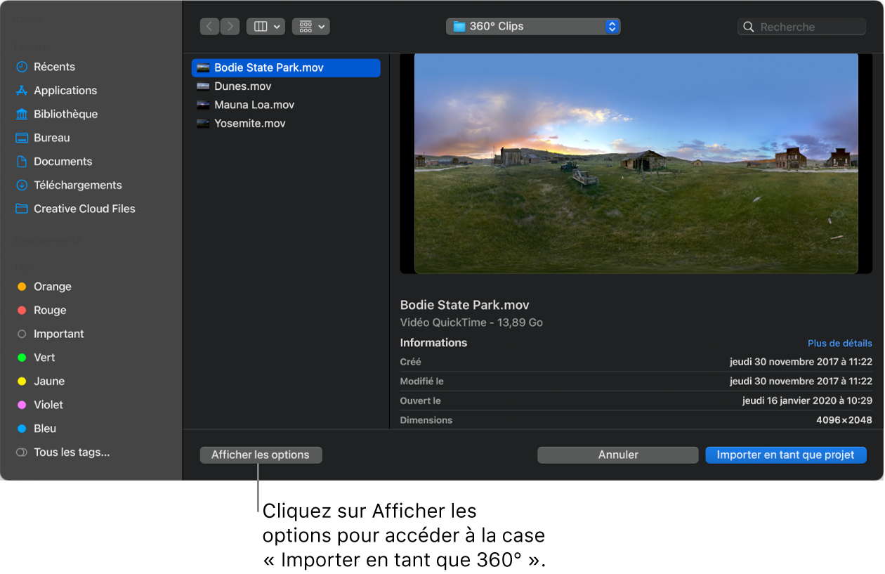 Bouton « Afficher les options » dans la zone de dialogue d’importation.