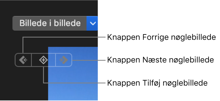 Knapperne Forrige nøglebillede, Næste nøglebillede og Slet nøglebillede i fremviser