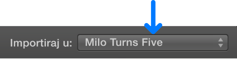 Skočni izbornik "Importiraj u"