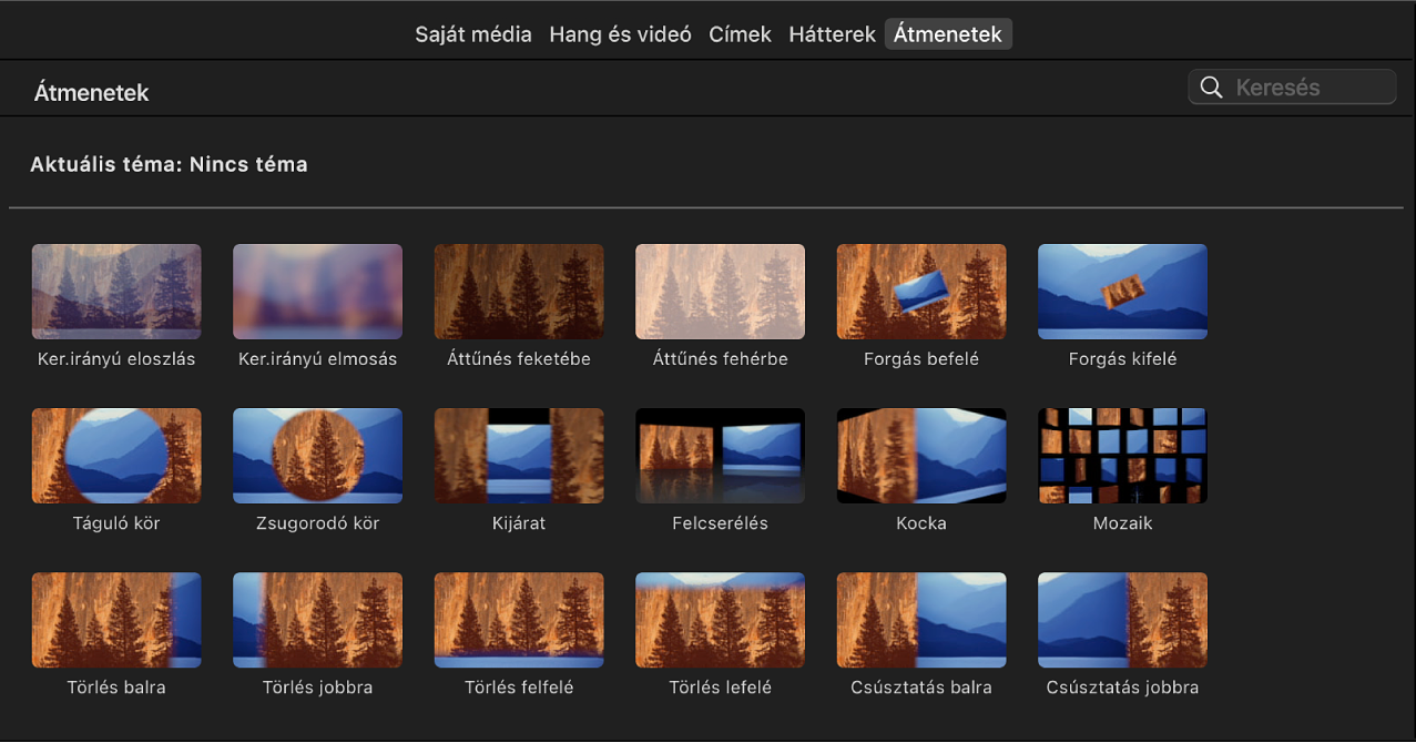 Elérhető átmeneteket megjelenítő böngésző