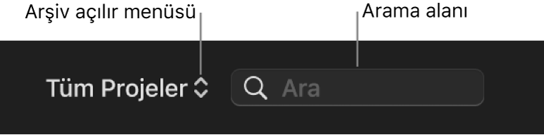Arşiv açılır menüsü ve arama alanı