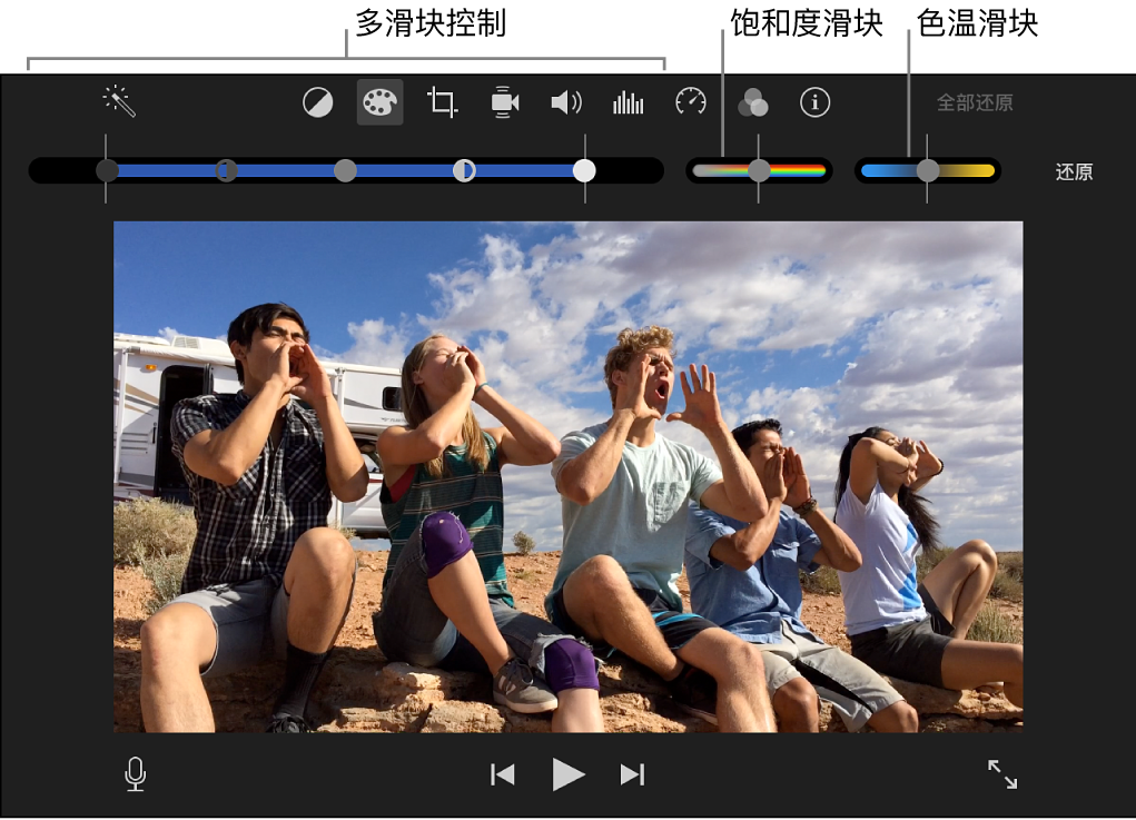 色彩校正控制,包括一个多滑块控制、一个“饱和度”滑块和一个“色温”滑块