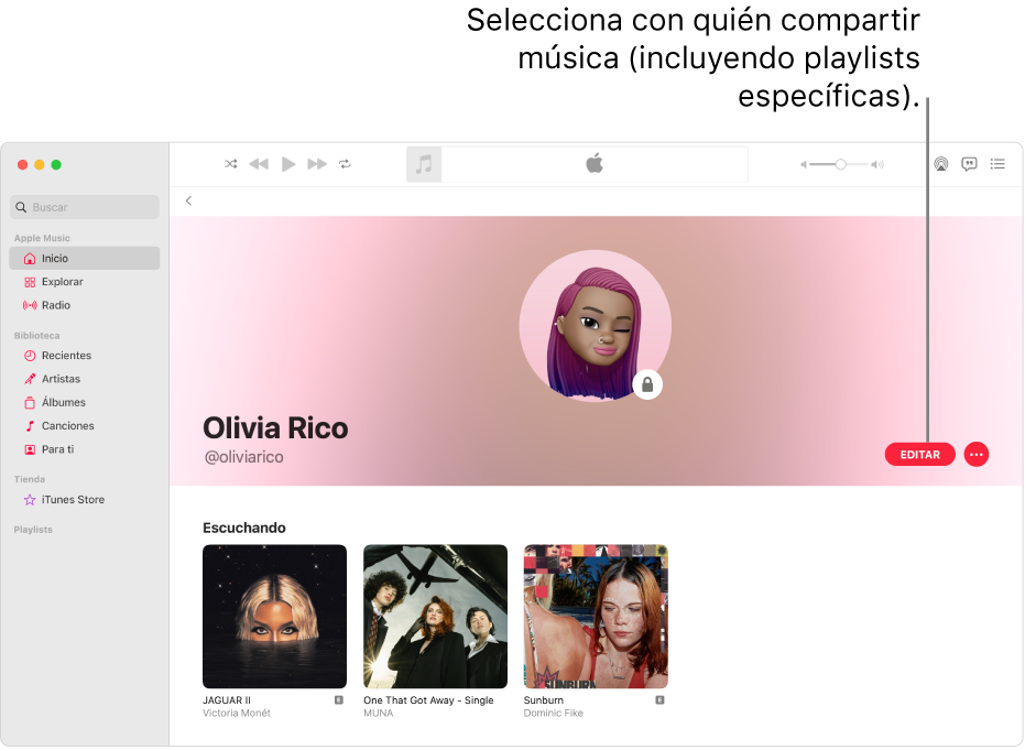 La página de perfil de Apple Music: en la parte derecha de la ventana, haz clic en Edición para seleccionar quién puede seguirte. En la parte derecha de Edición, haz clic en el botón Más para compartir tu música.
