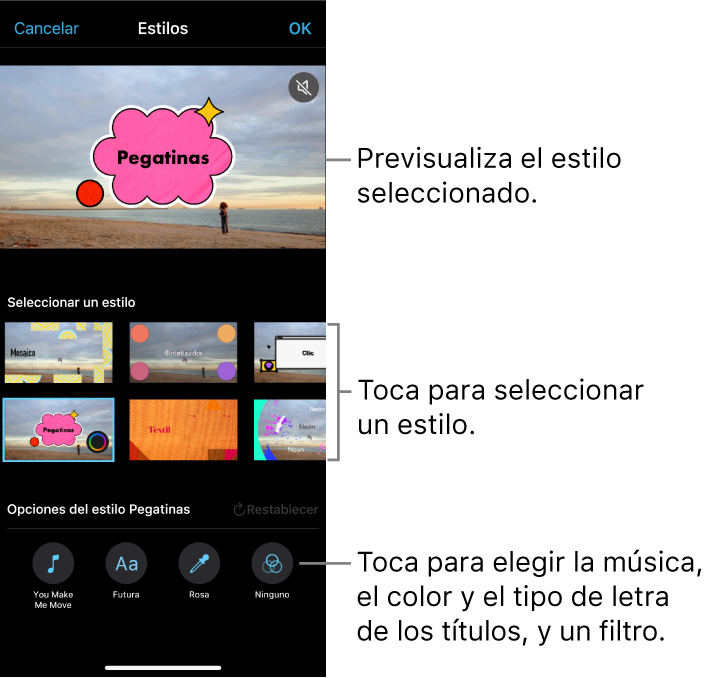 El visor muestra una previsualización de un estilo seleccionado con las opciones de estilo debajo. Los botones para añadir música, seleccionar el color y el tipo de letra de los títulos, y aplicar filtros aparecen en la parte inferior de la pantalla.