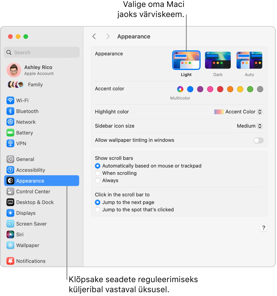 Jaotise System Settings aken Appearance.