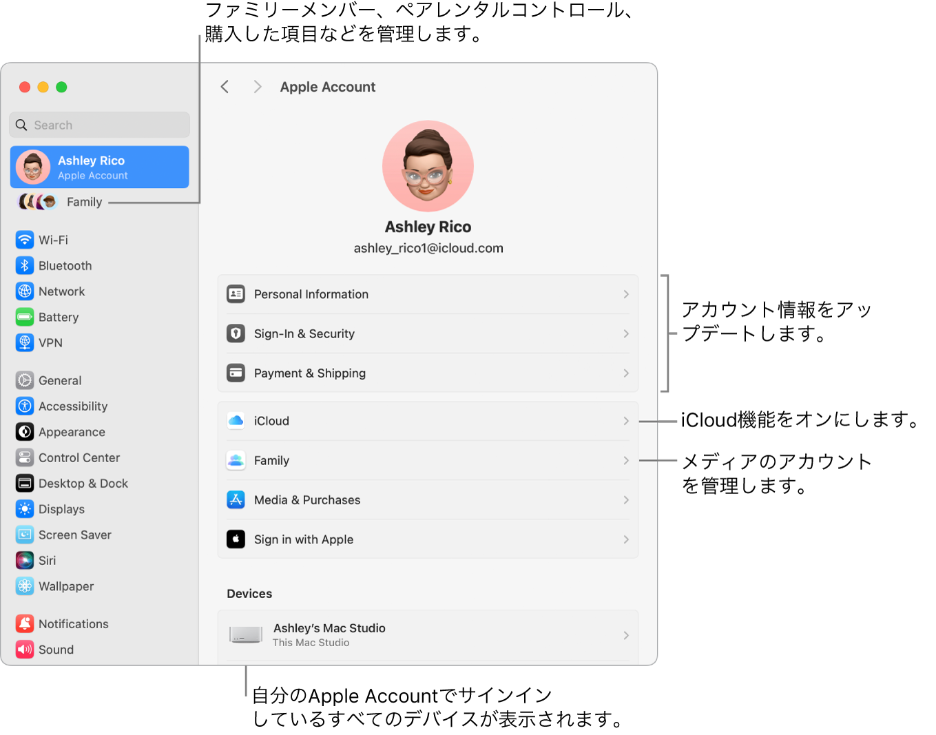 「システム設定」の「Apple Account」設定。アカウント情報のアップデート、iCloud機能のオン/オフ、メディアアカウントの管理と、ファミリーメンバー、ペアレンタルコントロール、購入などを管理できる「ファミリー」へのコールアウトがあります。