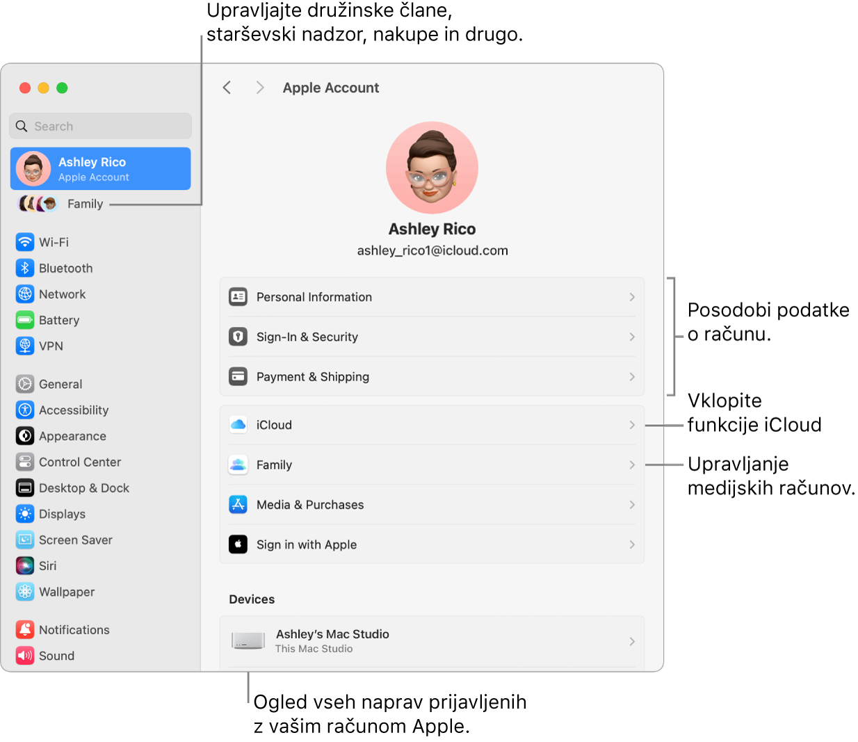 Nastavitve računa Apple v System Settings z oblački za posodobitev informacij o računu, vklop ali izklop funkcij iCloud, upravljanje predstavnostnih računov in Family, kjer lahko upravljate družinske člane, starševski nadzor, nakupe in več.