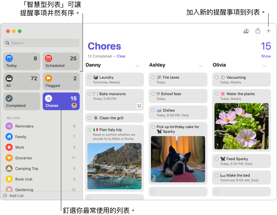 「提醒事項」視窗在左側顯示智慧型列表,而下方為其他提醒事項和列表。指標在提醒事項中。「智慧型列表」和「新增提醒事項」按鈕的說明框。