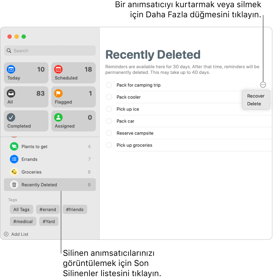 Anımsatıcılar penceresi, kenar çubuğunda seçili Son Silinenler listesini ve Kurtar veya Sil seçenekleri ile birlikte anımsatıcının Daha Fazla düğmesini gösteriyor.