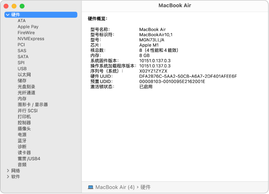 系统报告中的“硬件概览”部分。
