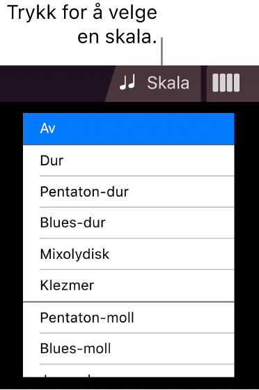 Skala-knapp og skalaliste for Strykere