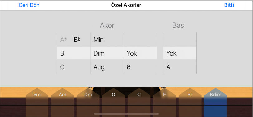 Özel Akorlar denetim tekerleri