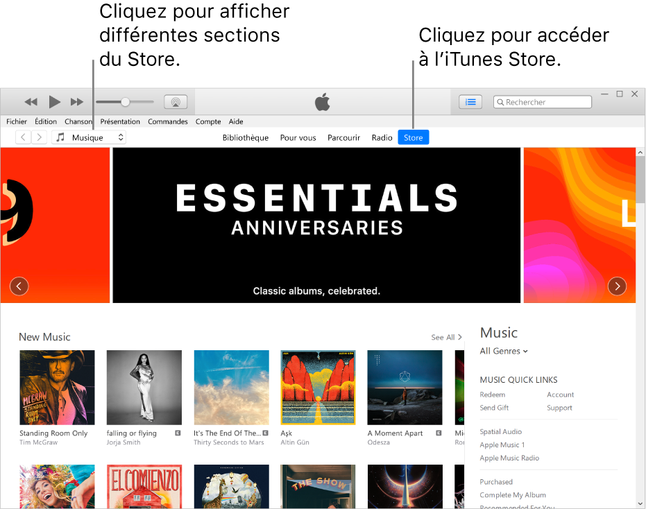 La fenêtre principale de l’iTunes Store : Dans la barre de navigation, Store est surligné. Dans le coin supérieur gauche, choisissez de voir différents contenus dans l’iTunes Store (par exemple Musique ou Émissions de télévision).