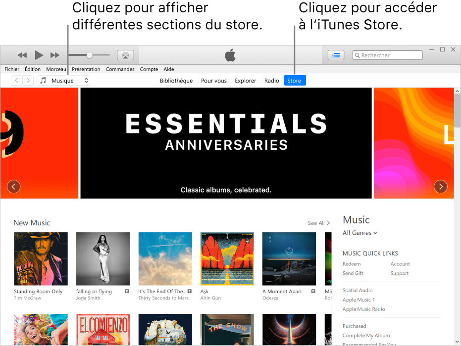 La fenêtre principale de l’iTunes Store : Dans la barre de navigation, Store est surligné. Dans le coin supérieur gauche, choisissez de voir différents contenus dans l’iTunes Store (par exemple Musique ou TV).