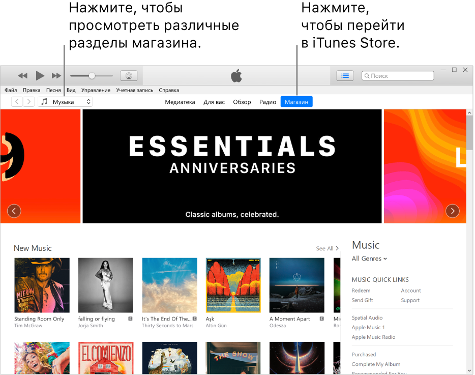 Главное окно iTunes Store. В панели навигации выделена надпись «Магазин». В левом верхнем углу можно выбрать разные типы просматриваемого в магазине контента (например, музыку или телешоу).