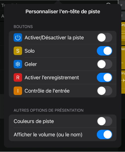 Figure. Fenêtre « Personnaliser l'en-tête de piste » montrant les boutons disponibles et d’autres options d’affichage.