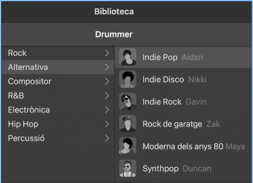 Fitxa d’intèrpret a l’editor Drummer.