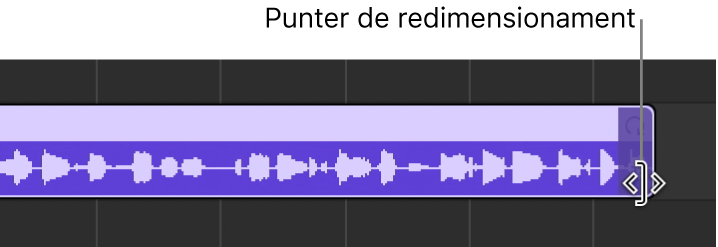 El punter de canvi de mida, a la vora dreta d’un passatge.