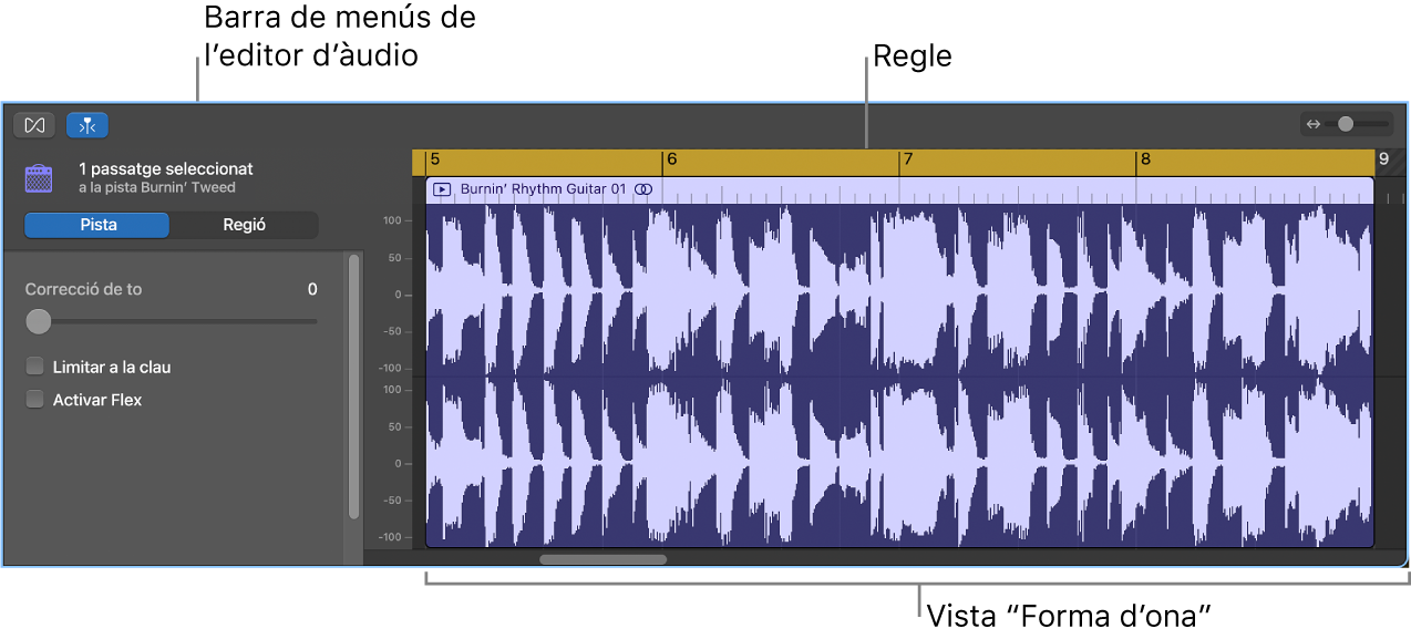 Editor d’àudio amb un passatge seleccionat.