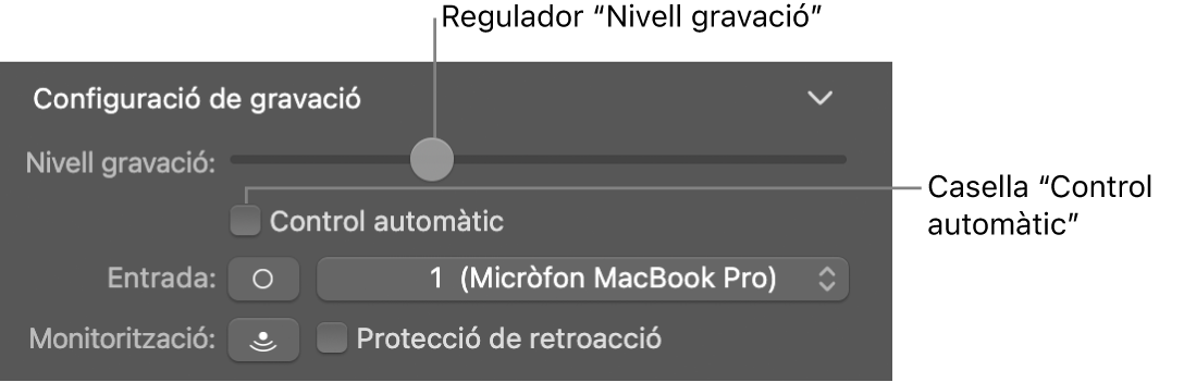 El regulador “Nivell de gravació” i la casella “Control de nivells auto.” a l’inspector Smart Controls.