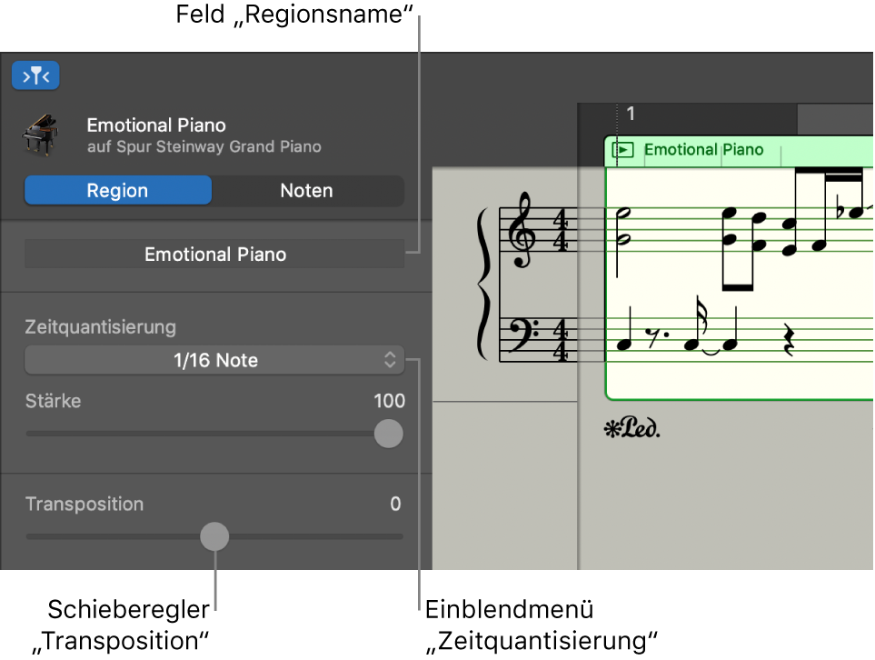 Informationsfenster des Notationseditors im Regionsmodus mit Steuerungen