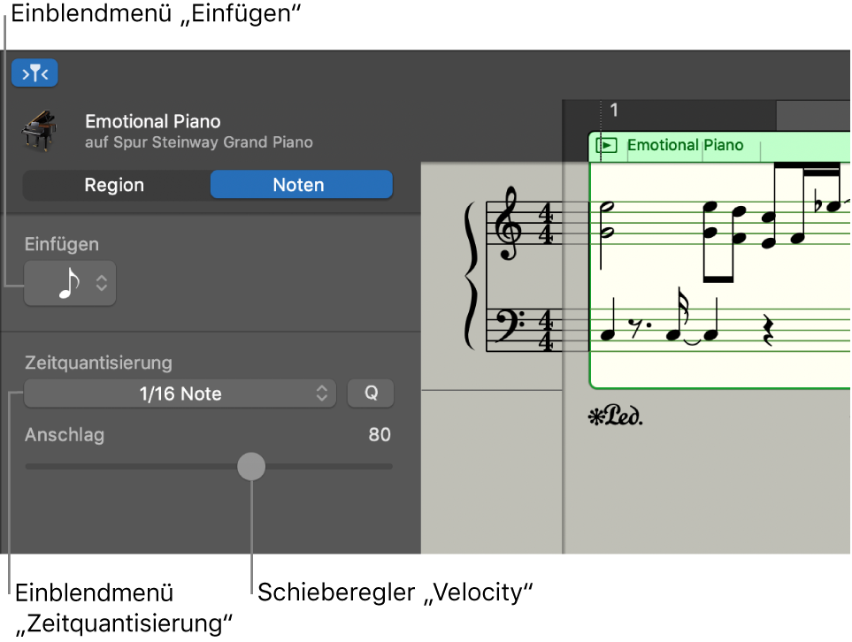 Informationsfenster des Notationseditors im Notenmodus mit Steuerungen
