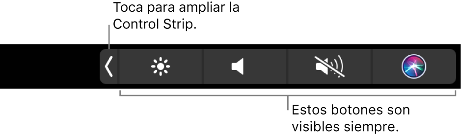 Ilustración. Control Strip de la Touch Bar.