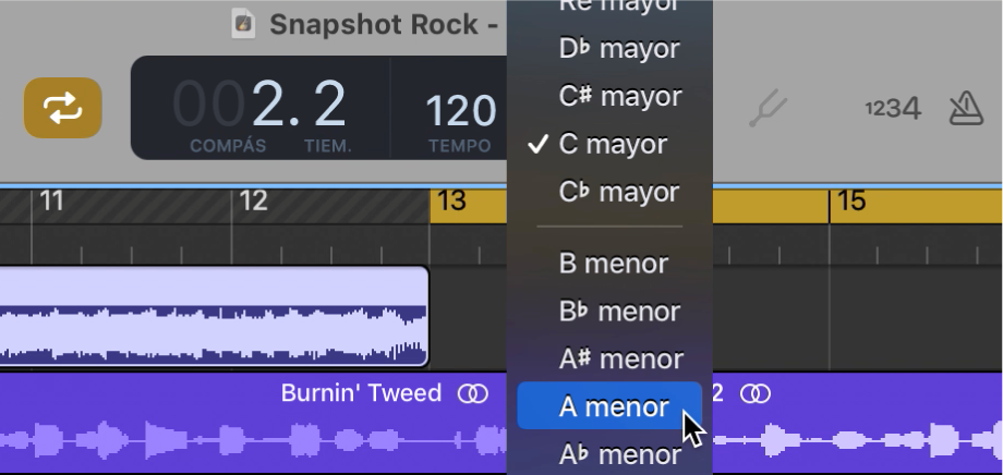 LCD con el menú desplegable Tonalidad