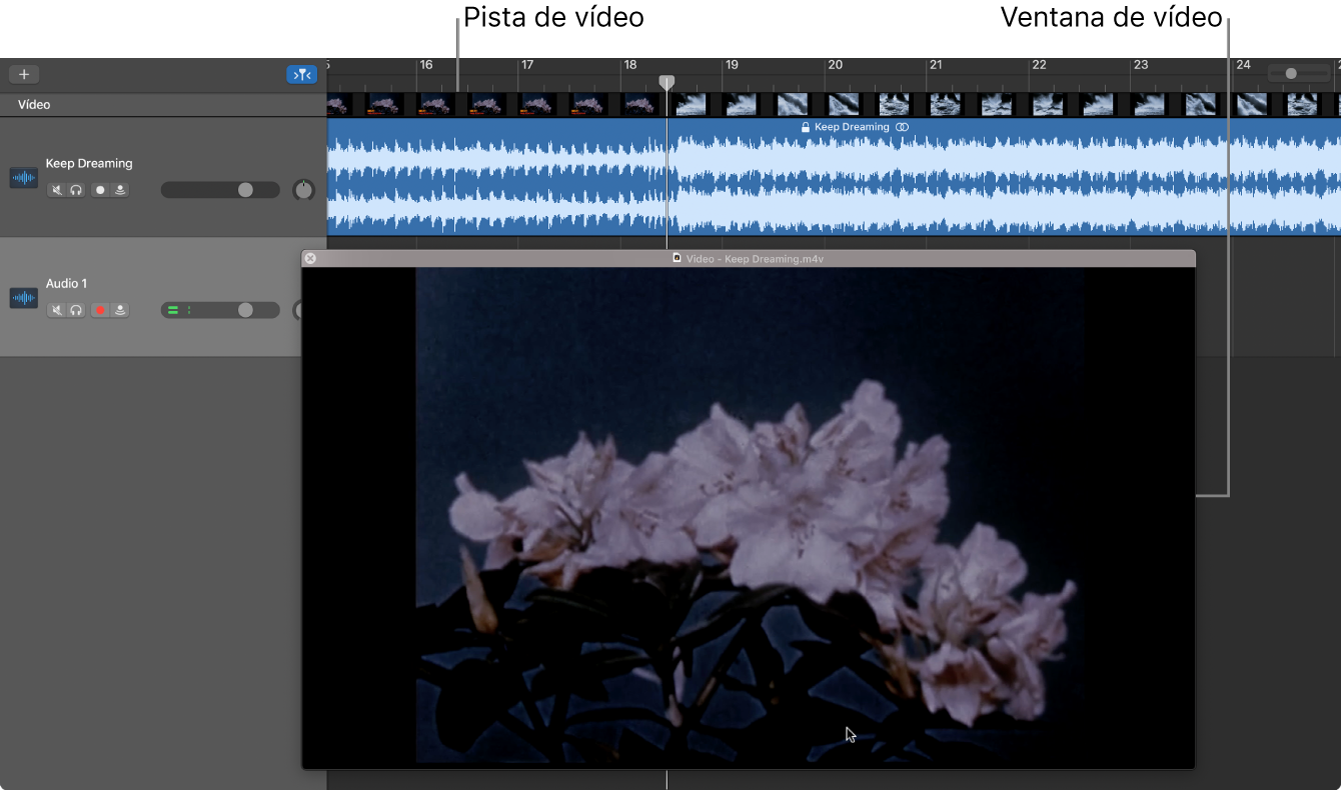 Ventana de vídeo flotante y pista con el audio del vídeo.