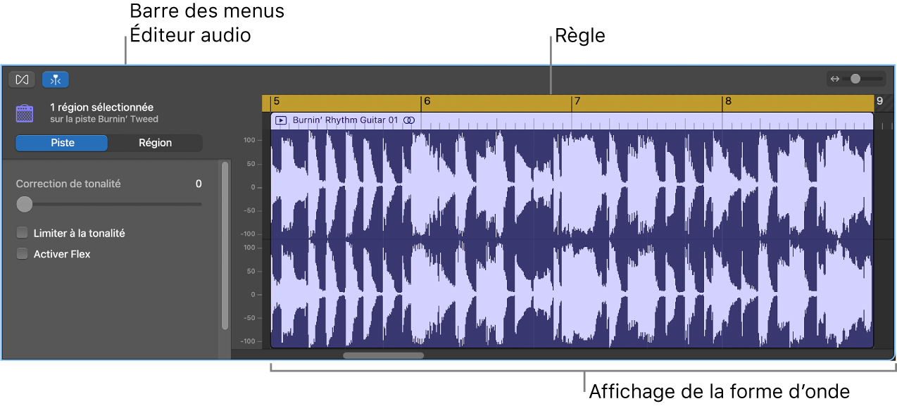Éditeur audio avec une région sélectionnée