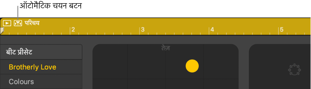 ड्रमर स्वतः चुनें बटन।