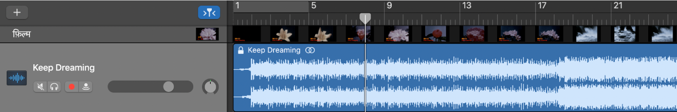 फ़िल्म ट्रैक द्वारा फ़िल्म के फ़्रेम दिखाए जा रहे हैं।