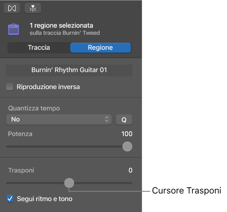 Inspector “Editor audio” in modalità Regione, con il cursore Trasponi.