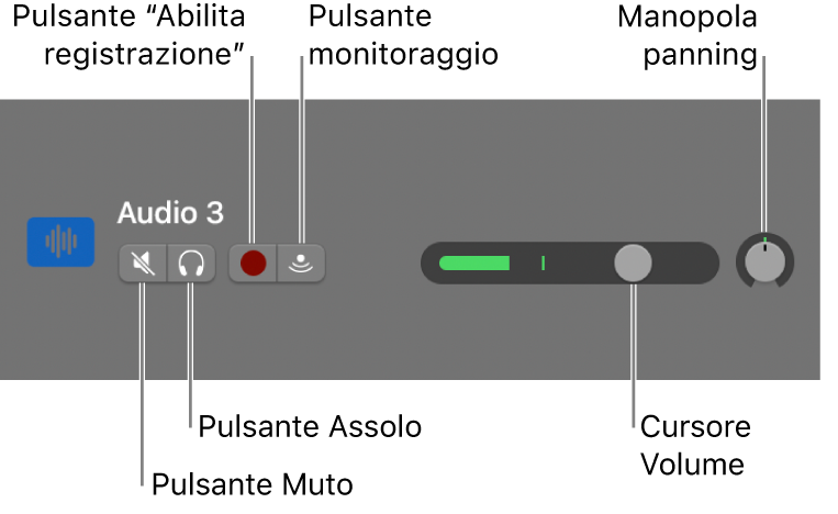 Intestazione traccia, con controlli.