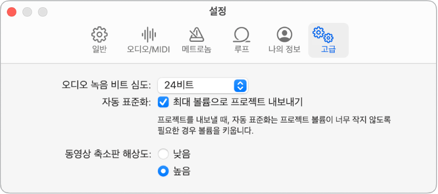고급 설정 패널.