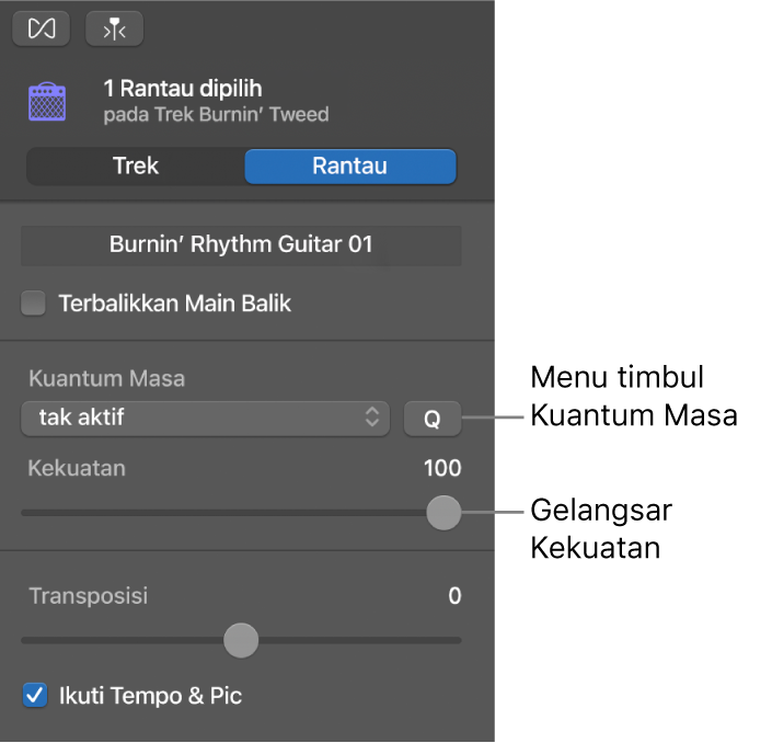 Pemeriksa Editor Audio, menunjukkan menu timbul Kuantum Masa dan gelangsar Kekuatan.