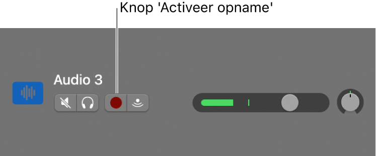 Spoorlabel met knop 'Activeer opname'.
