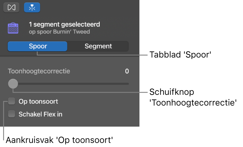 Infovenster van de audio-editor in de spoormodus, met de schuifknop 'Toonhoogtecorrectie' en het aankruisvak 'Op toonsoort'.