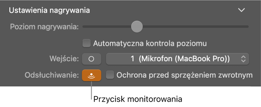 Przycisk Monitorowanie w inspektorze narzędzi Smart Controls.