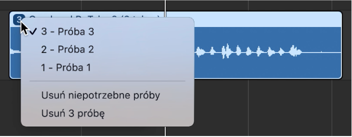 Widoczne otwarte menu podręczne katalogu z próbami.