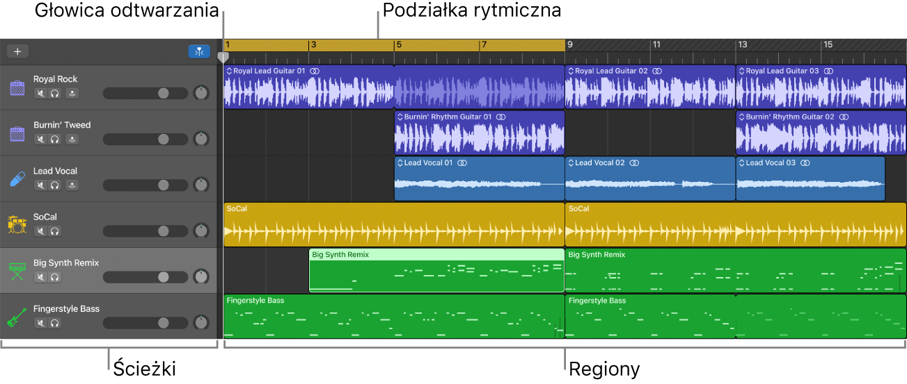 Obszar ścieżek ze ścieżkami, regionami, głowicą odtwarzania oraz podziałką rytmiczną.