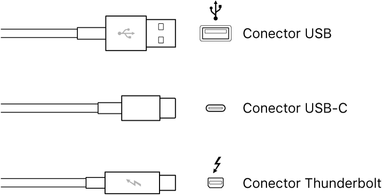 Ilustração dos tipos de conectores USB e Thunderbolt.