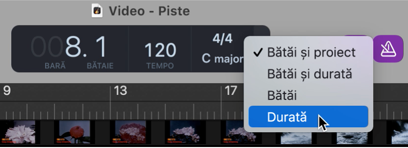 LCD în bara de control, alegerea formatului pentru Timp.