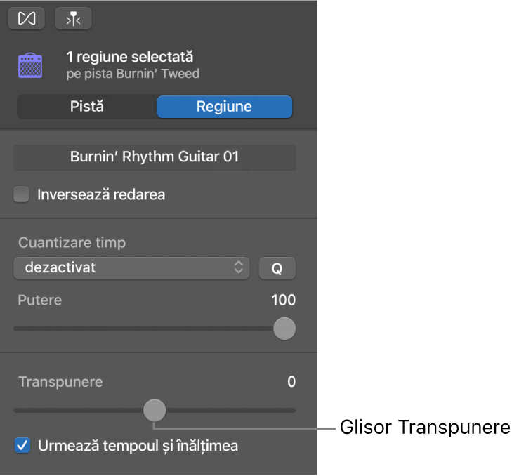 Inspectorul Editor audio în modul Regiune, afișând glisorul Transpunere.