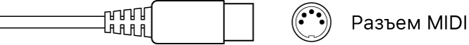 Изображение разъема MIDI.