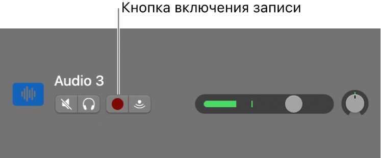 Заголовок дорожки с кнопкой «Включить запись».