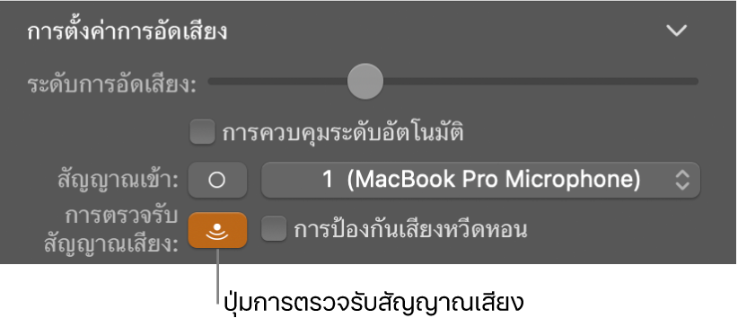 ปุ่มการตรวจรับสัญญาณเสียงในตัวตรวจสอบ Smart Control