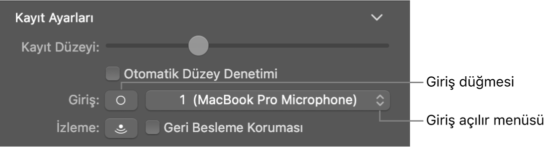 Smart Controls denetçisindeki Giriş düğmesi ve açılır menü.